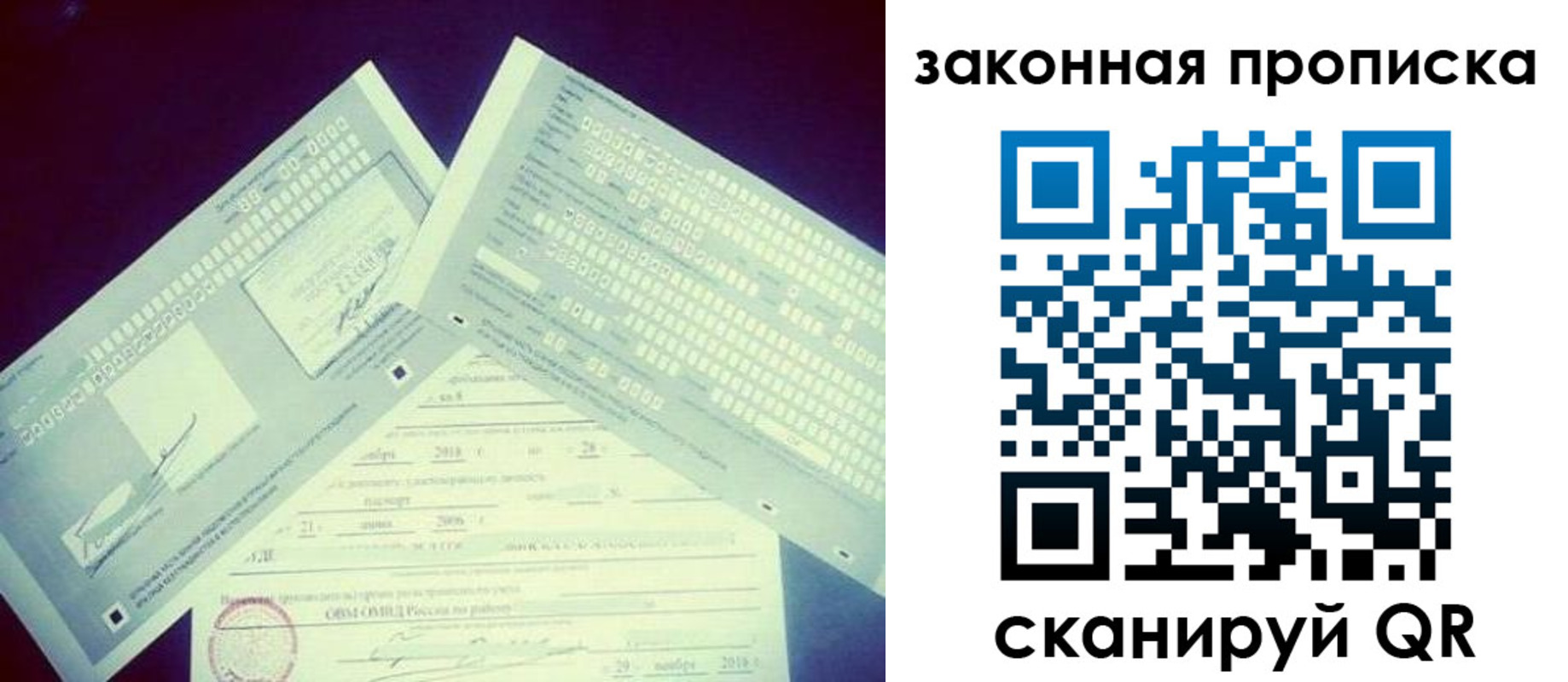 прописка поиск в Александрове
