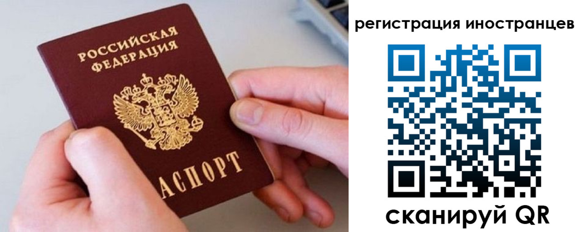регистрация в Александрове